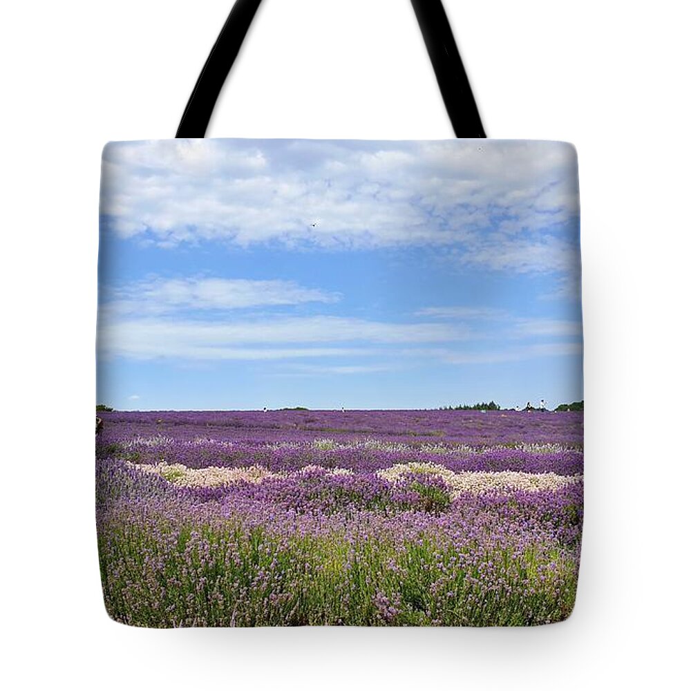 Wildflowers Tote Bag featuring the photograph Strolling Through Lavender Fields by Andrea Whitaker