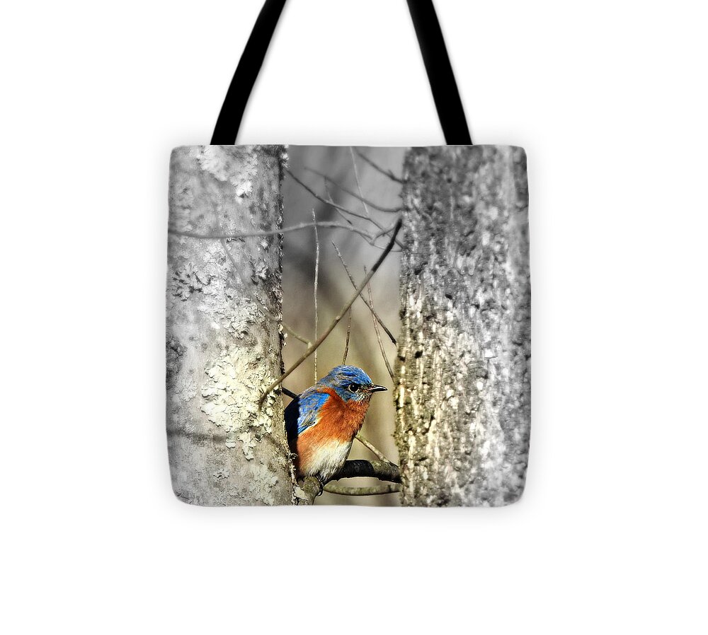 Stuck In The Middle With Blue Tote Bag featuring the photograph Stuck in the Middle with Blue by Dark Whimsy