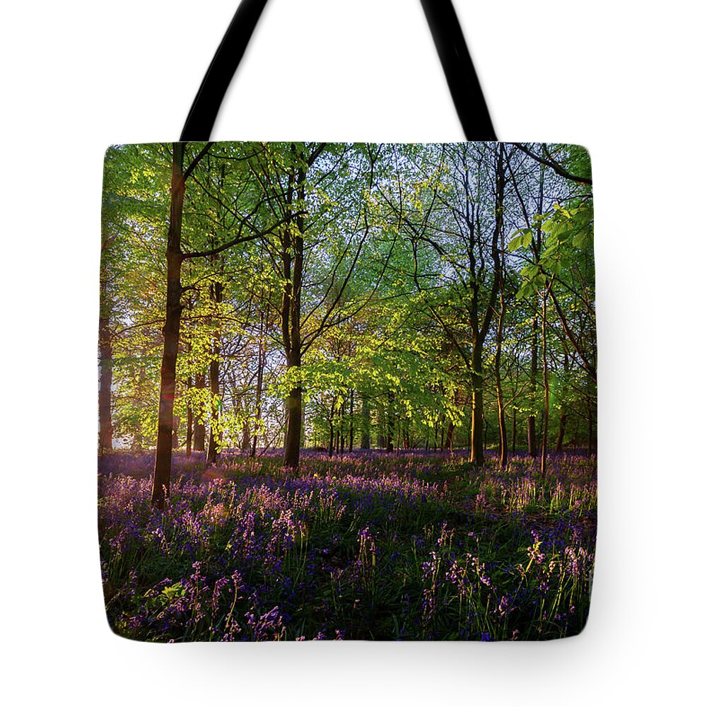 Bluebells Tote Bag featuring the photograph Stunning bluebells woodland at sunrise by Simon Bratt