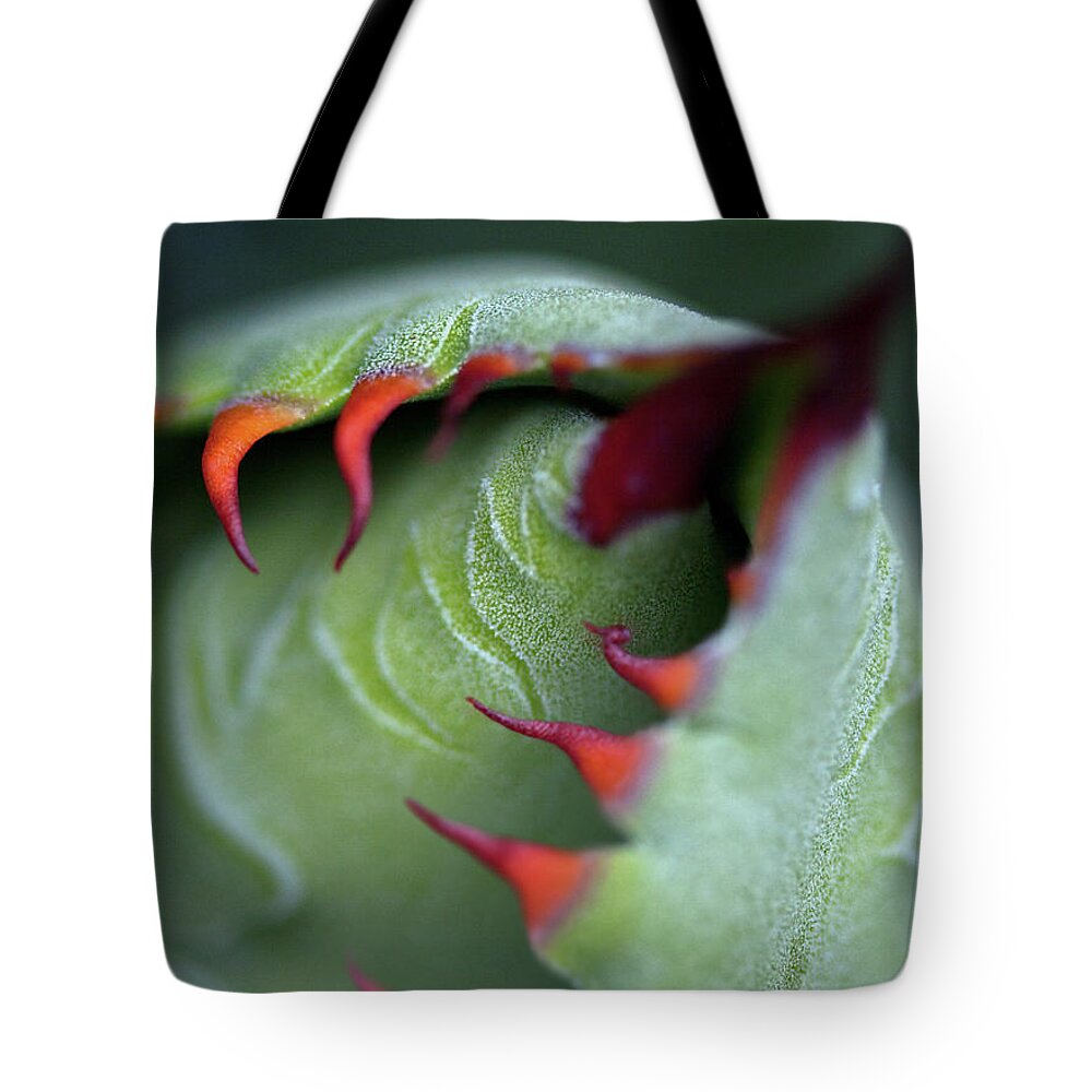 Tranquility Tote Bag featuring the photograph Succulent Cactus Bud by John K. Goodman