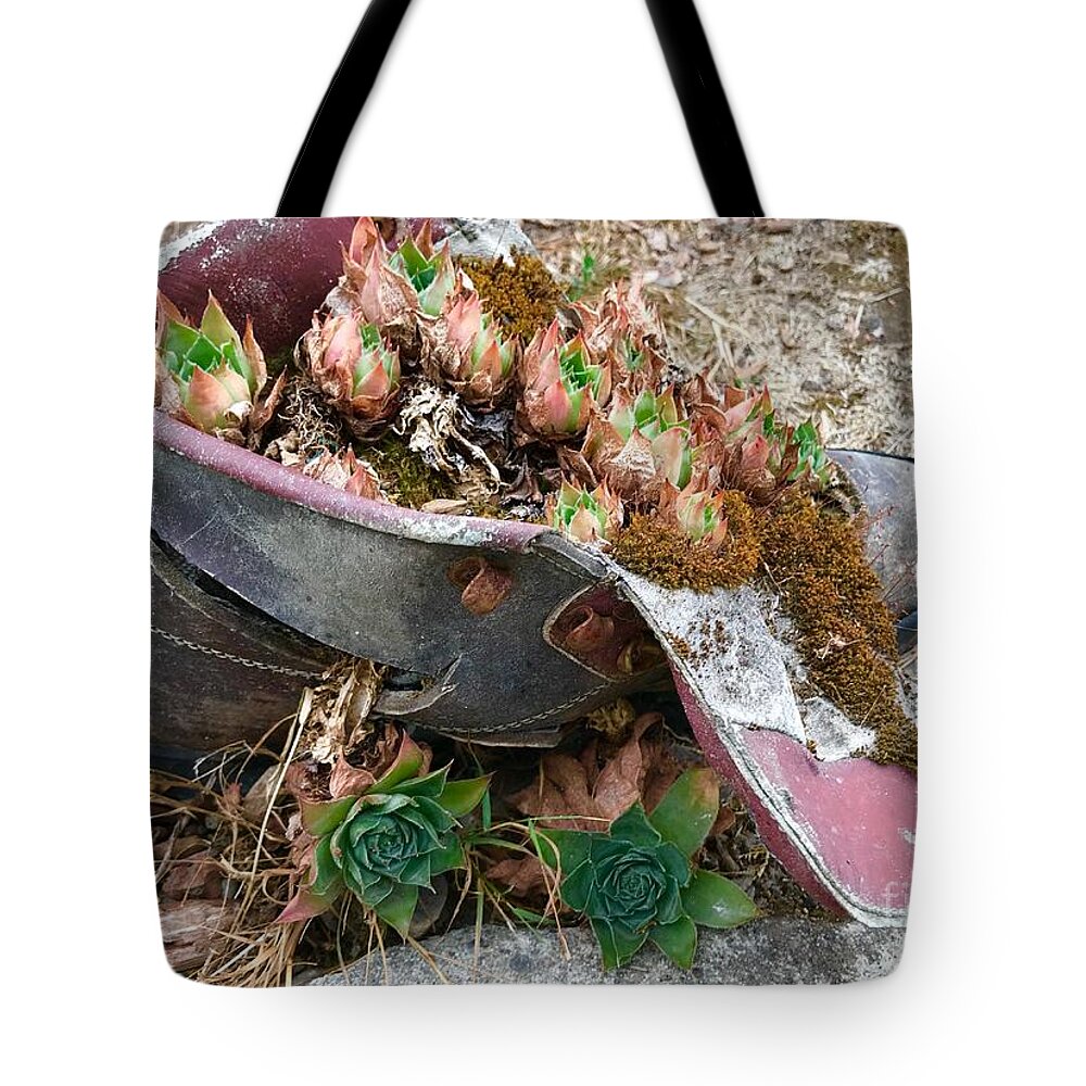 Succulents Tote Bag featuring the photograph Succulents in a Boot by Suzanne Lorenz