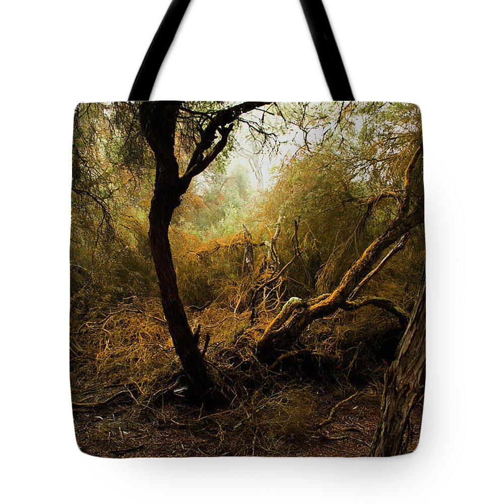 Spooky Tote Bag featuring the photograph Sulphur Trees by Photography By Tim Bow