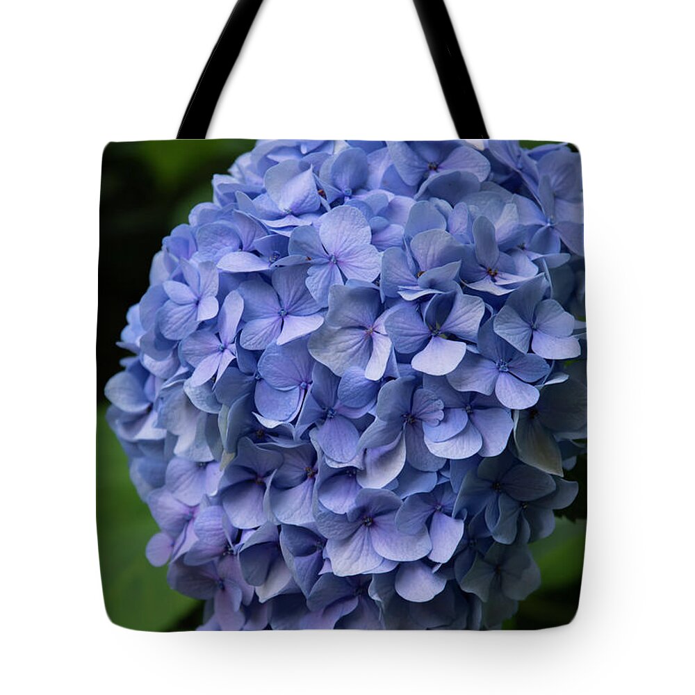 Hydrangea Tote Bag featuring the photograph Summer Blues by Steven Clark