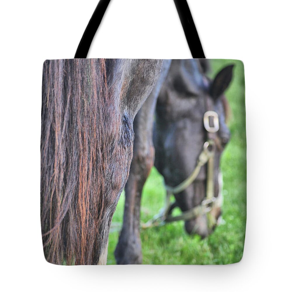 After Tote Bag featuring the photograph Summer Views by Dressage Design