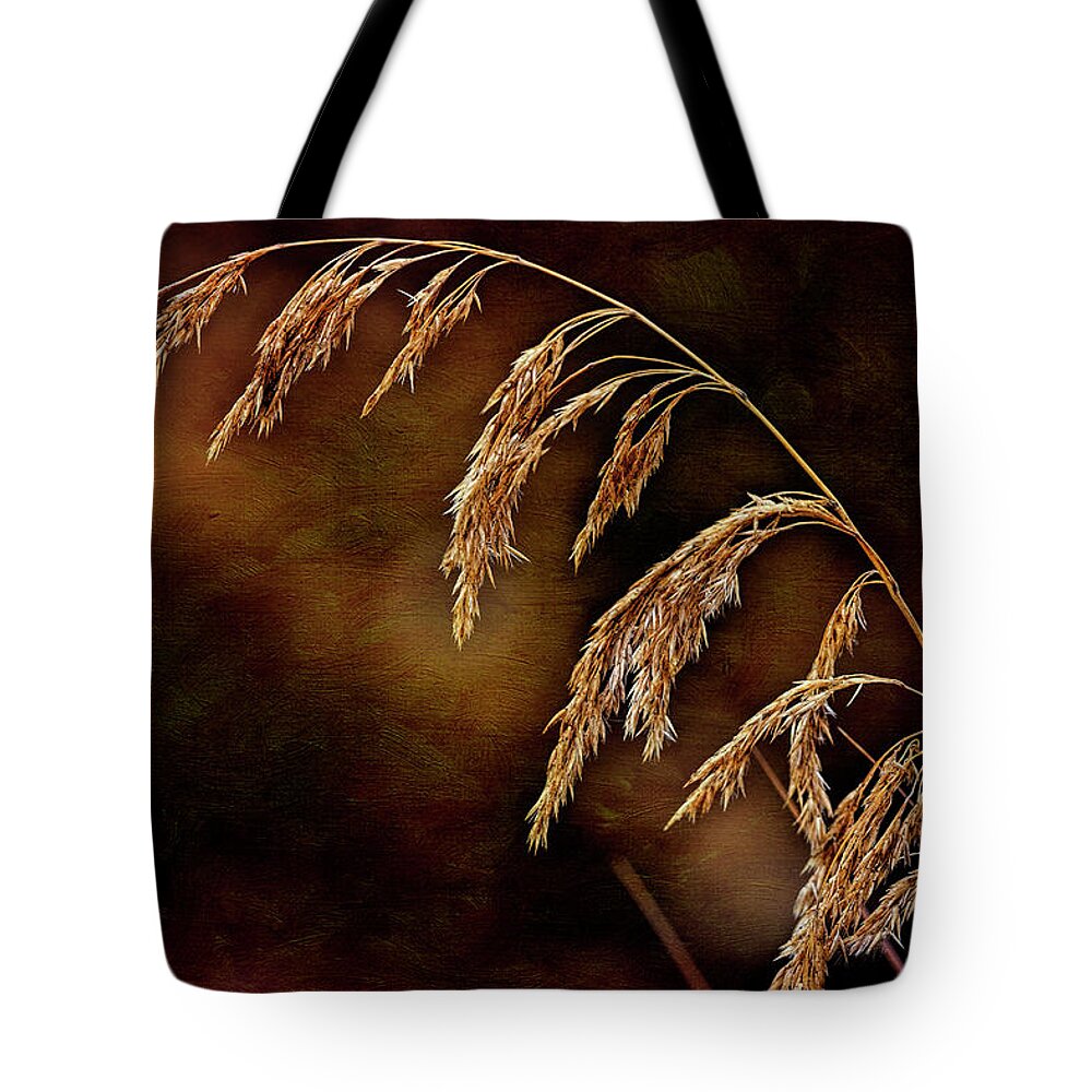 Alaska Tote Bag featuring the photograph Summer's Passed by Fred Denner