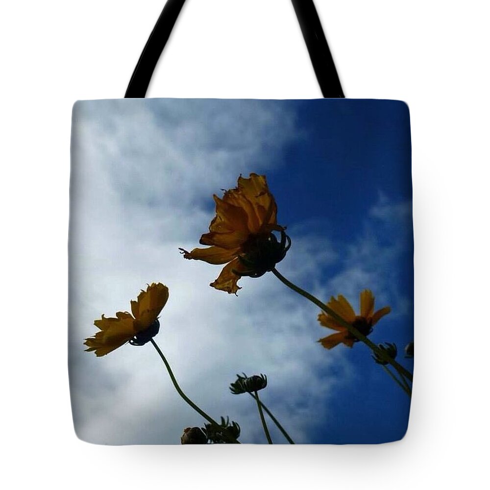 Flowers Tote Bag featuring the photograph Sun Salutation by Lisa Burbach