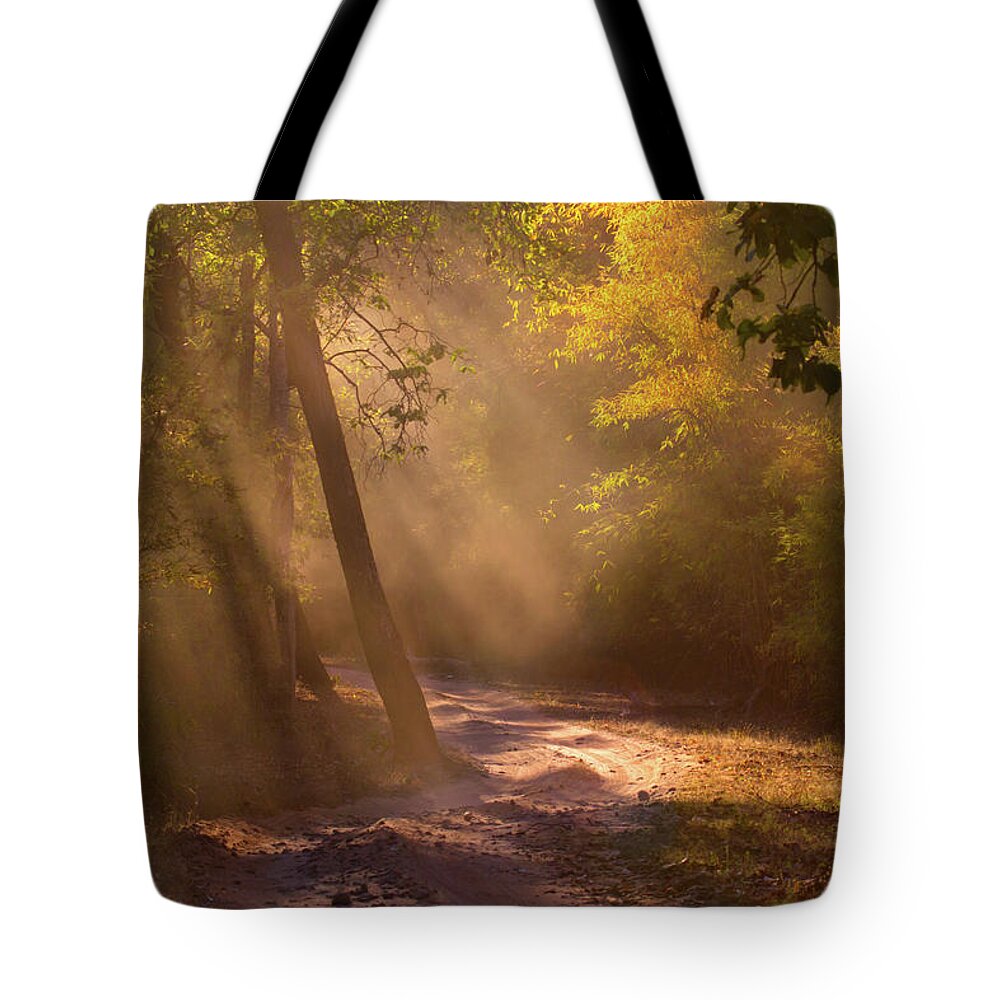 Scenics Tote Bag featuring the photograph Sunbeams In Bandhavgarh Forest by Adria  Photography