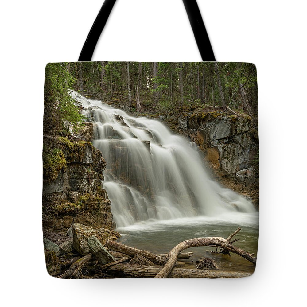 Landscape Tote Bag featuring the photograph Sunday Falls in Spring by Constance Puttkemery