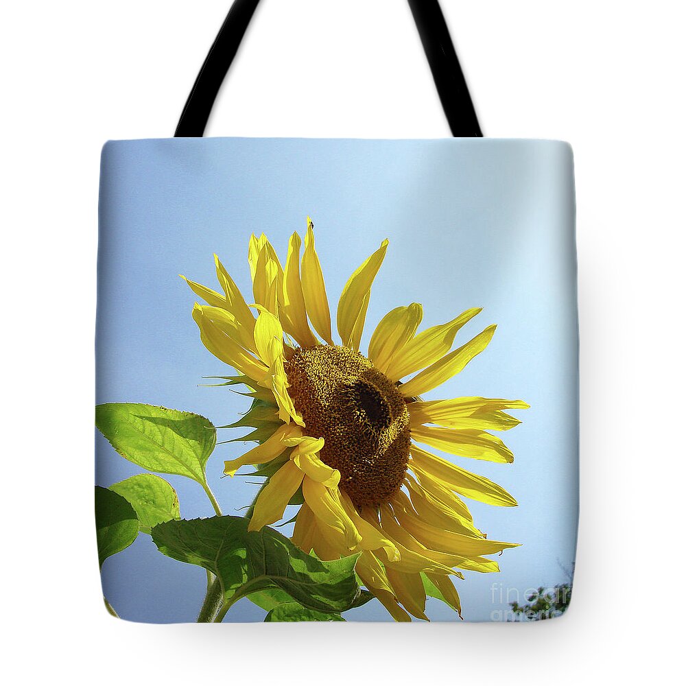 Sunflower Tote Bag featuring the photograph Sunflower 48 by Amy E Fraser