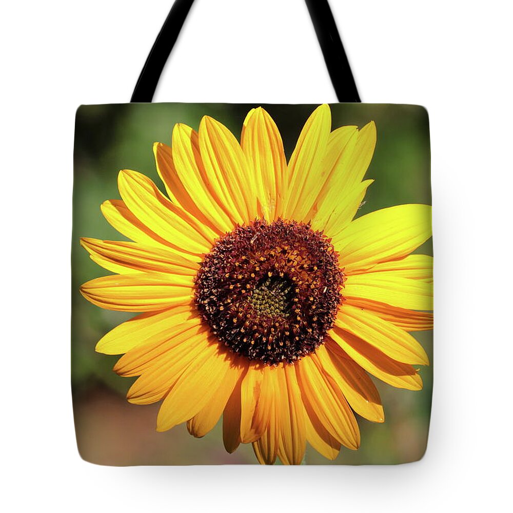 Sunflower Tote Bag featuring the photograph Sunflower 8296 by John Moyer