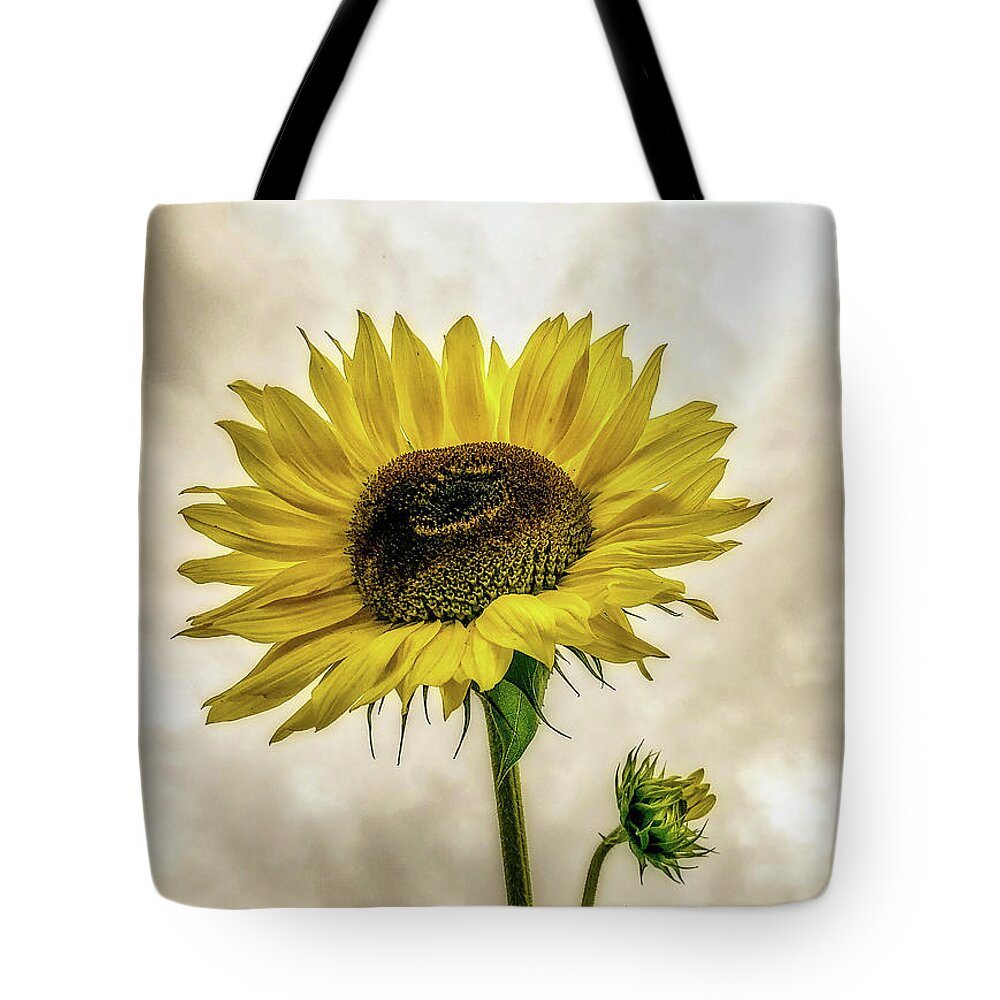 Sunflower Tote Bag featuring the photograph Sunflower by Anamar Pictures