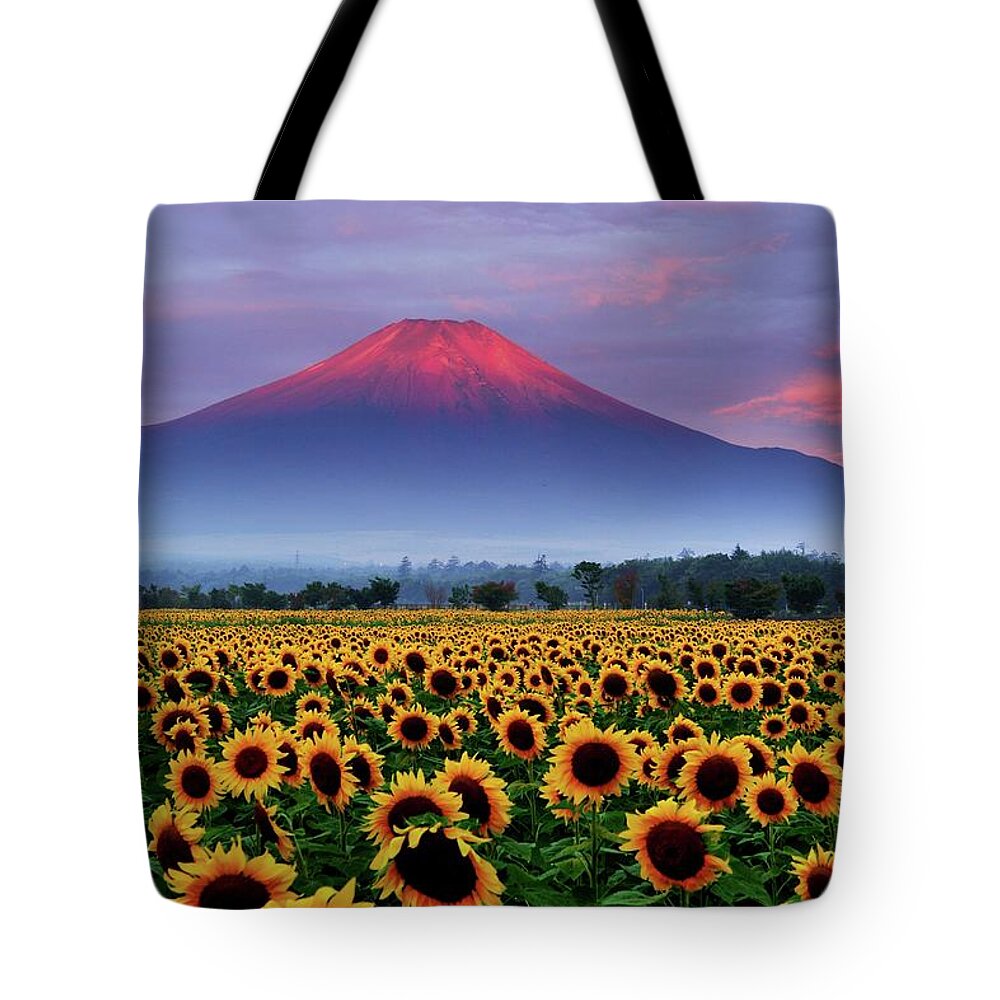 Tranquility Tote Bag featuring the photograph Sunflower And Red Fuji by Katsumi.takahashi