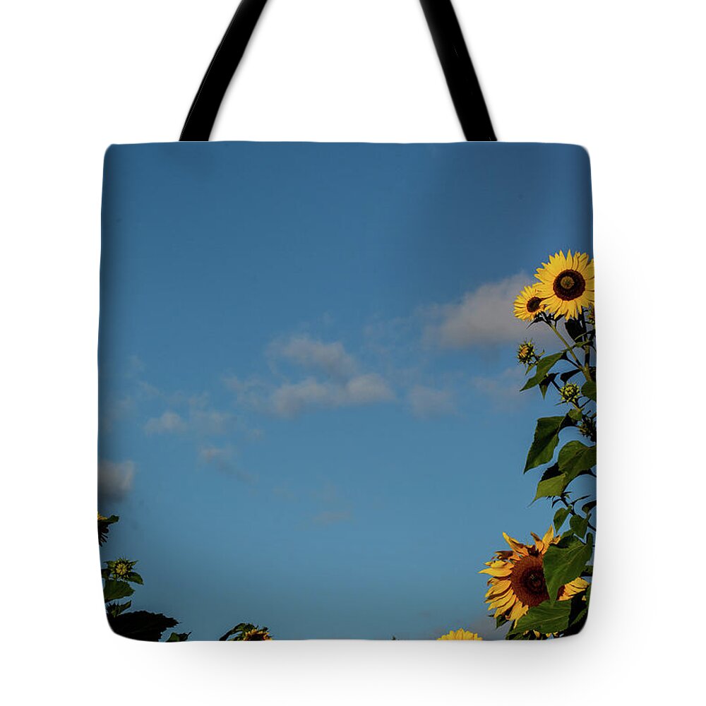 Nature Tote Bag featuring the photograph Sunflower Buddies by Douglas Wielfaert