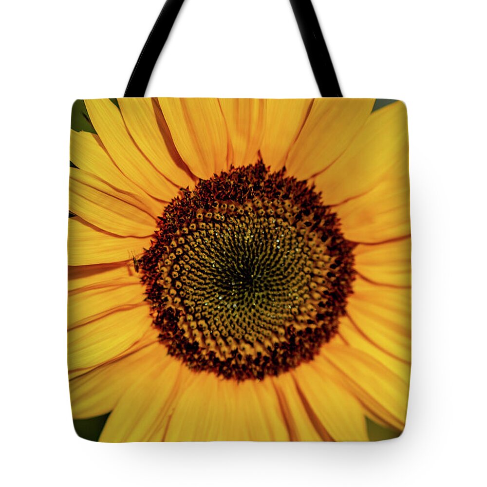 Nature Tote Bag featuring the photograph Sunflower Closeup by Douglas Wielfaert