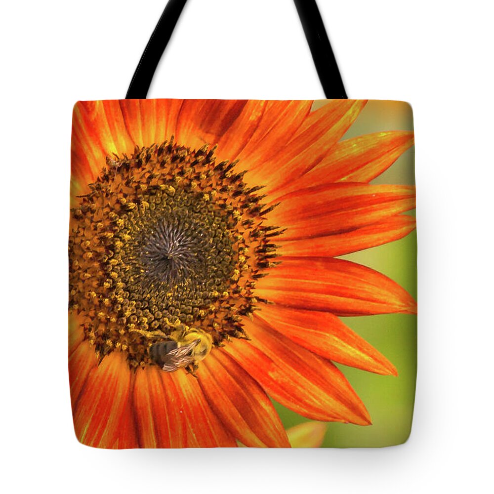Sunflower Tote Bag featuring the photograph Sunflower Glory by Dorothy Cunningham
