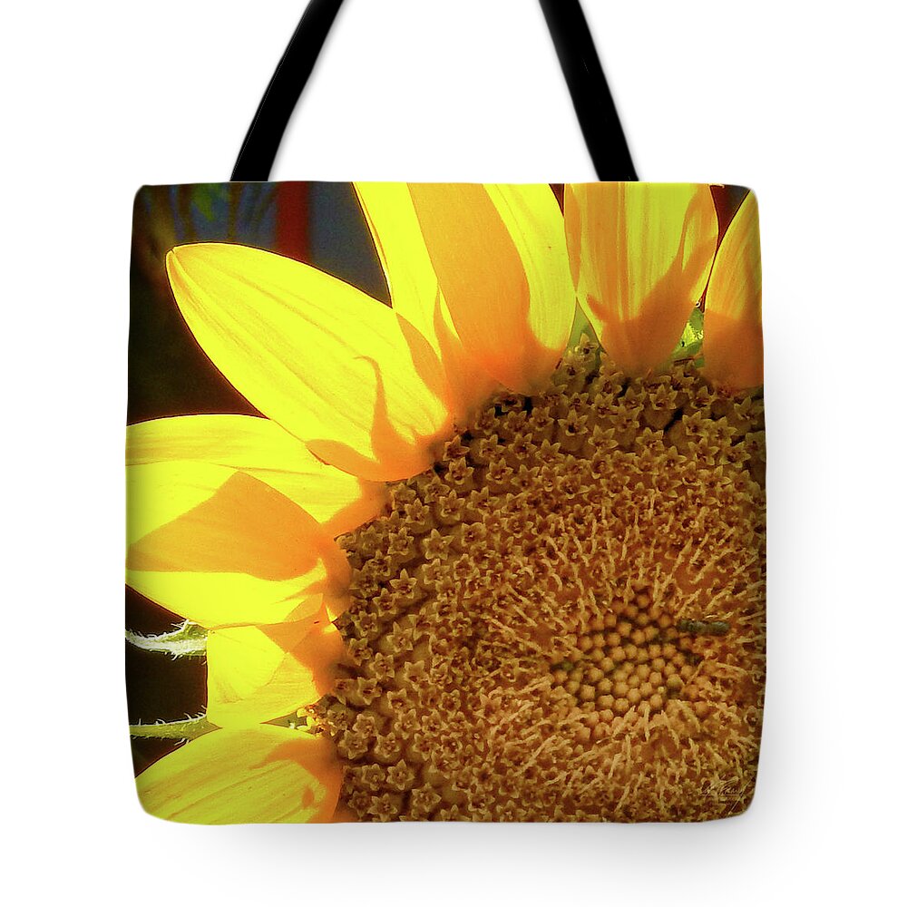 Sunflower Tote Bag featuring the photograph Sunflower by Michael Frank