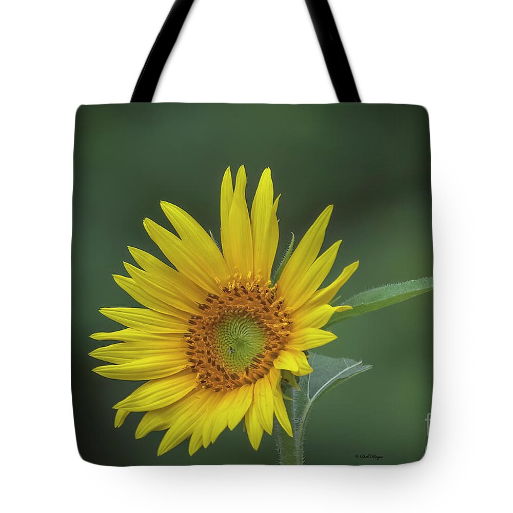 Sunflowers Tote Bag featuring the photograph Sunflower Peaking and Visitor by DB Hayes