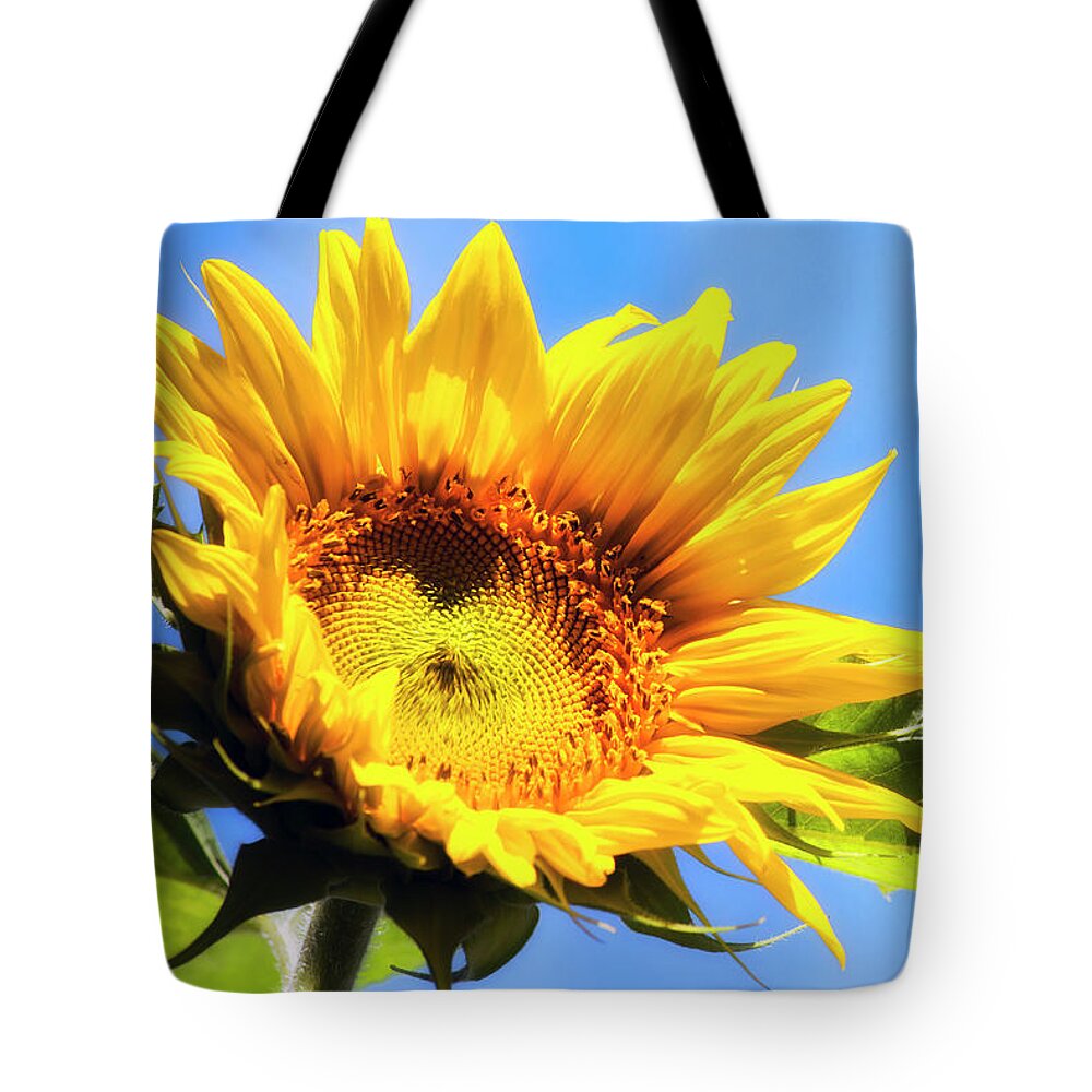Sunflowers Tote Bag featuring the photograph Sunflower And Sky by Christina Rollo