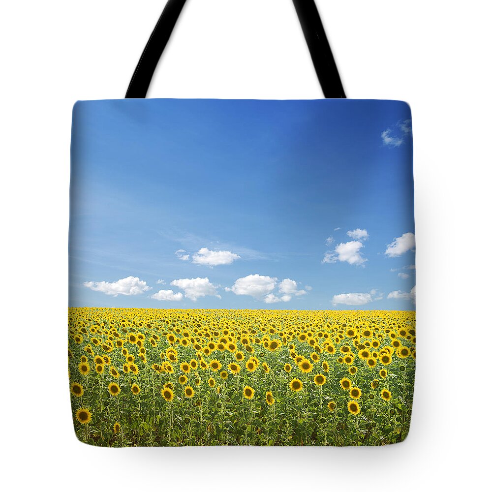 Environmental Conservation Tote Bag featuring the photograph Sunflowers And Blue Sky by Kertlis