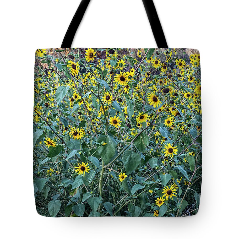 Sunflowers Tote Bag featuring the photograph Sunflowers by Jaime Miller