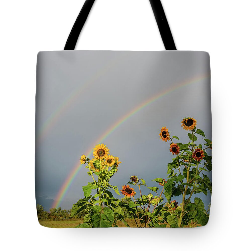 Cheryl Baxter Photography Tote Bag featuring the photograph Sunflowers Under the Rainbow by Cheryl Baxter