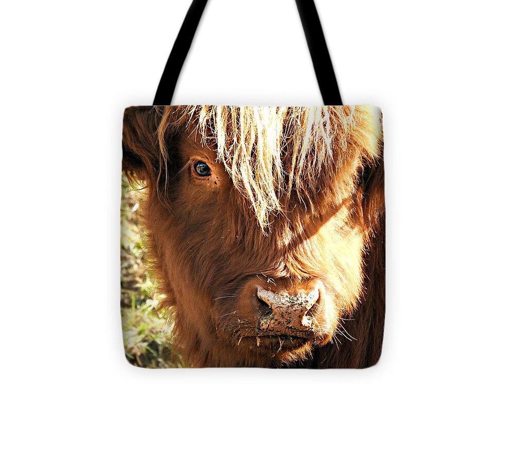 Sunkissed Tote Bag featuring the photograph Sunkissed by Dark Whimsy