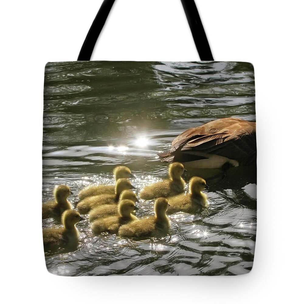 Canada Goose Tote Bag featuring the photograph Sunlit Stroll by Donna Kennedy