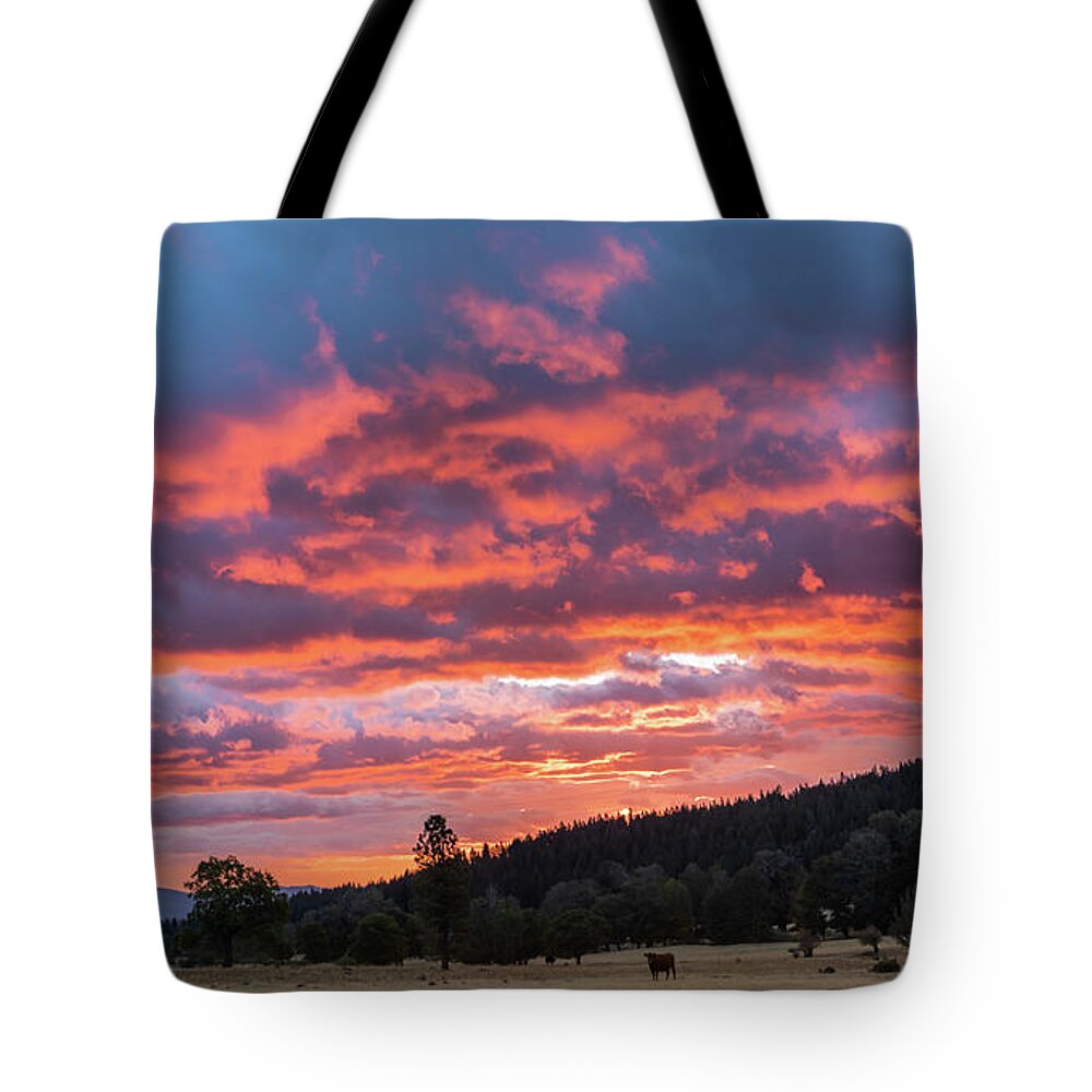 Sunrise Tote Bag featuring the photograph Sunrise Panorama by Randy Robbins