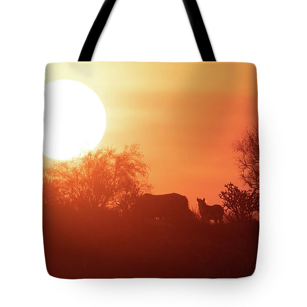 Foal Tote Bag featuring the photograph Sunrise by Shannon Hastings