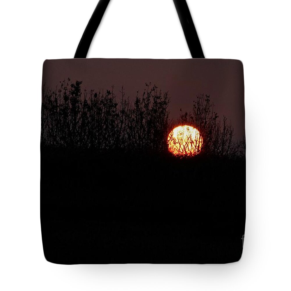 Sunrise Tote Bag featuring the photograph Sunrise Silhouette by Ann E Robson