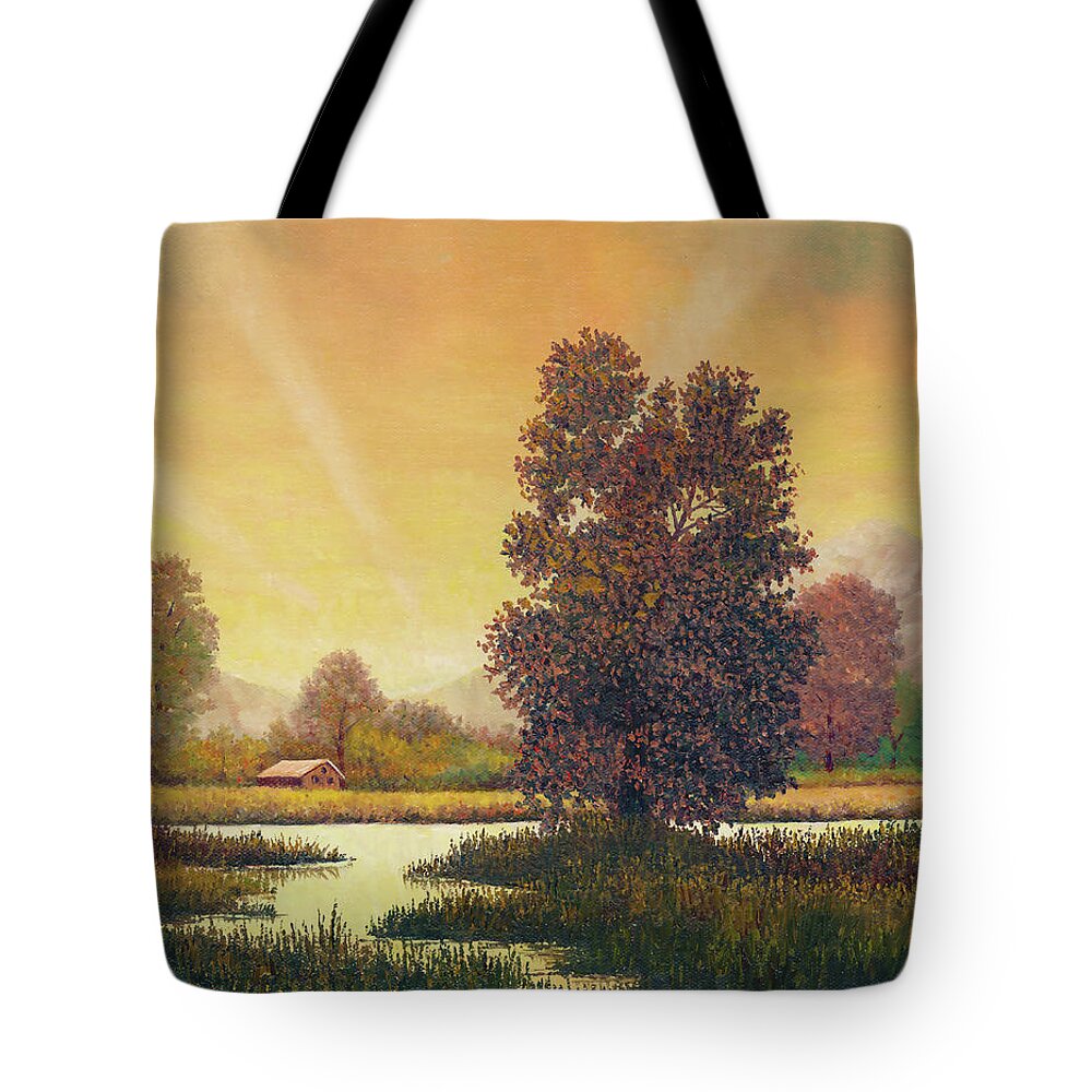 Landscape Tote Bag featuring the painting Sunset Color by Douglas Castleman