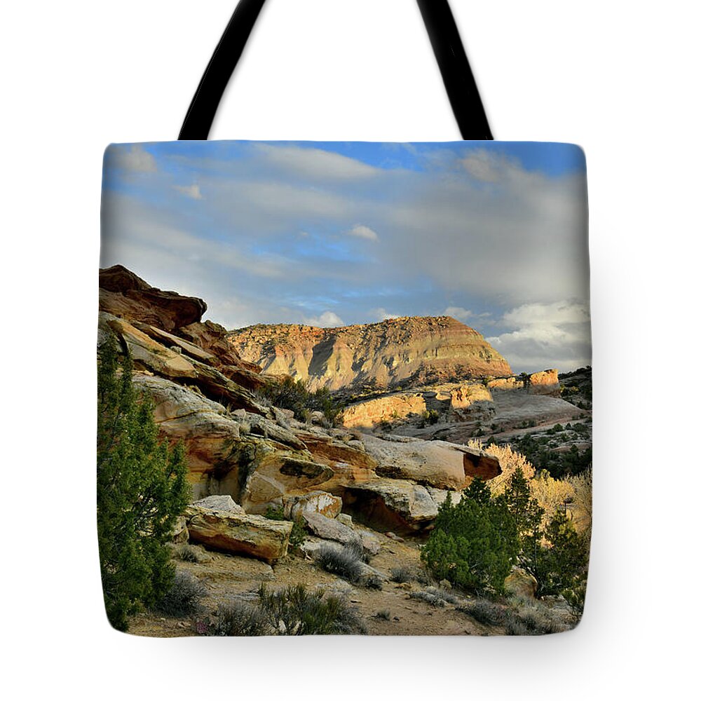 Colorado National Monument Tote Bag featuring the photograph Sunset Coming to East Side of Colorado National Monumentr by Ray Mathis