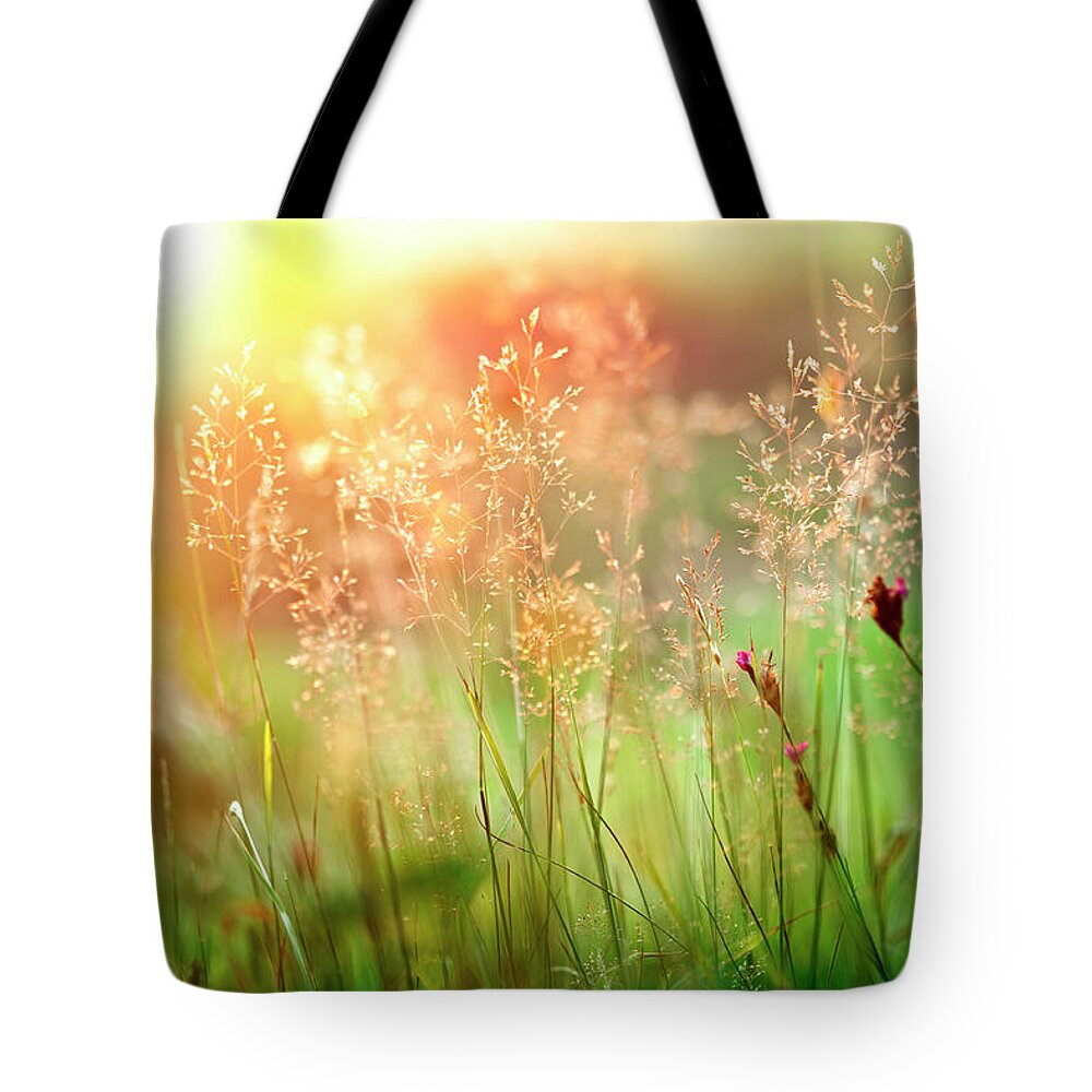 Grass Tote Bag featuring the photograph Sunset Grass by Avalon studio