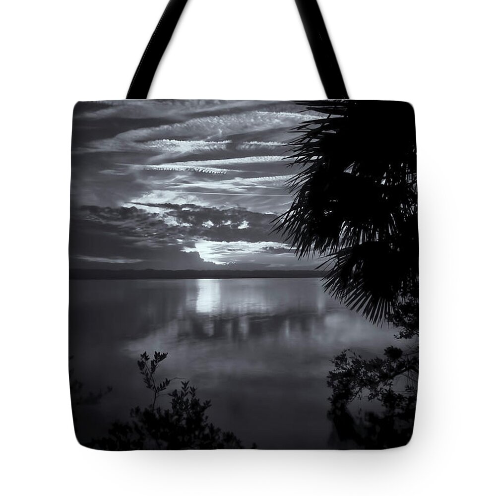 Barberville Roadside Yard Art And Produce Tote Bag featuring the photograph Sunset In Black And White by Tom Singleton