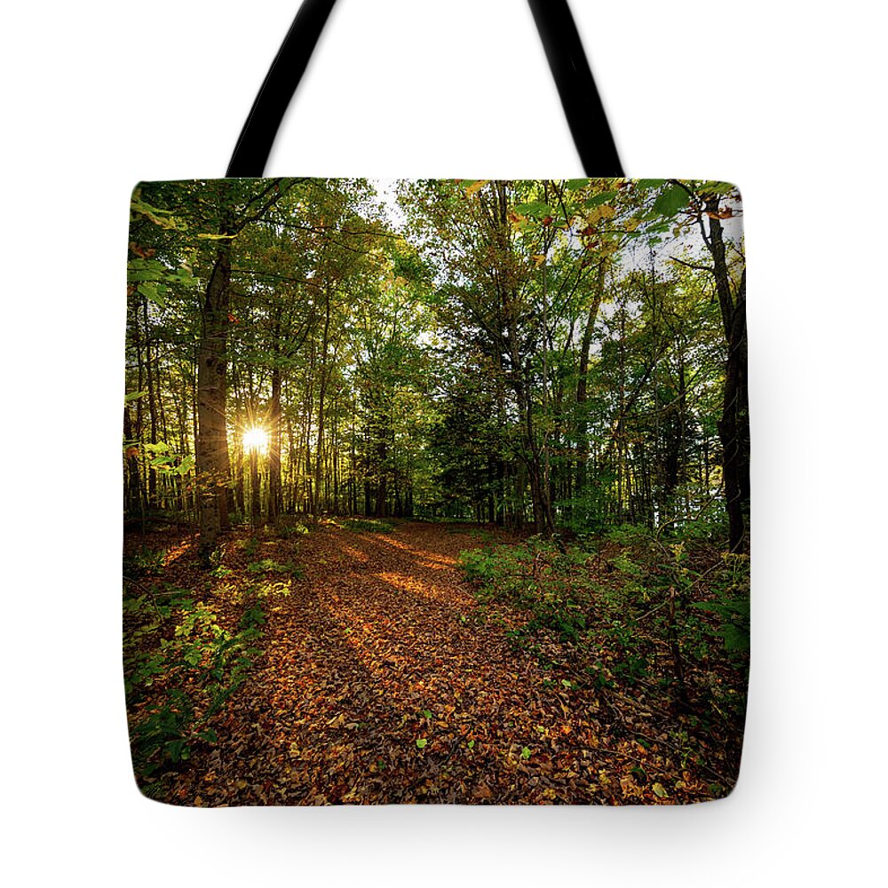 Sunset Tote Bag featuring the photograph Sunset in the forrest #1381 by Michael Fryd