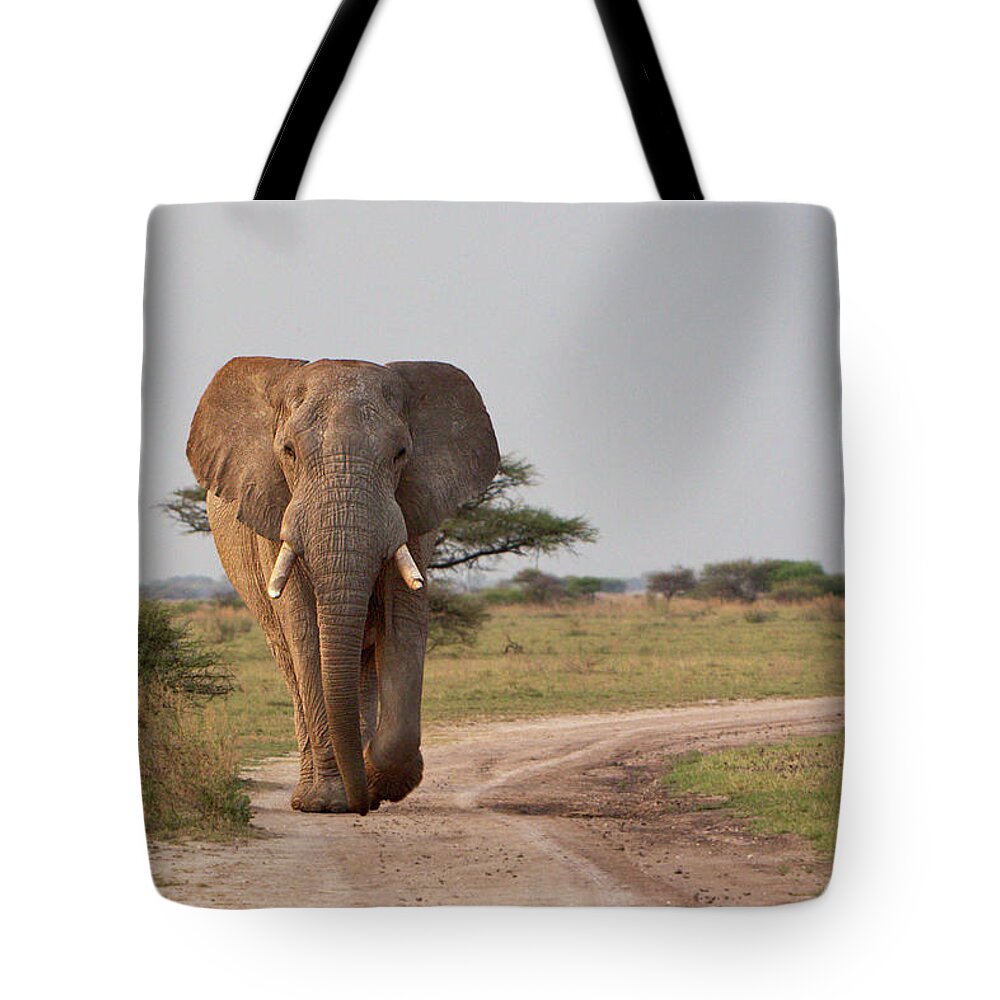 Botswana Tote Bag featuring the photograph Sunset Stroll by Thomas Retterath