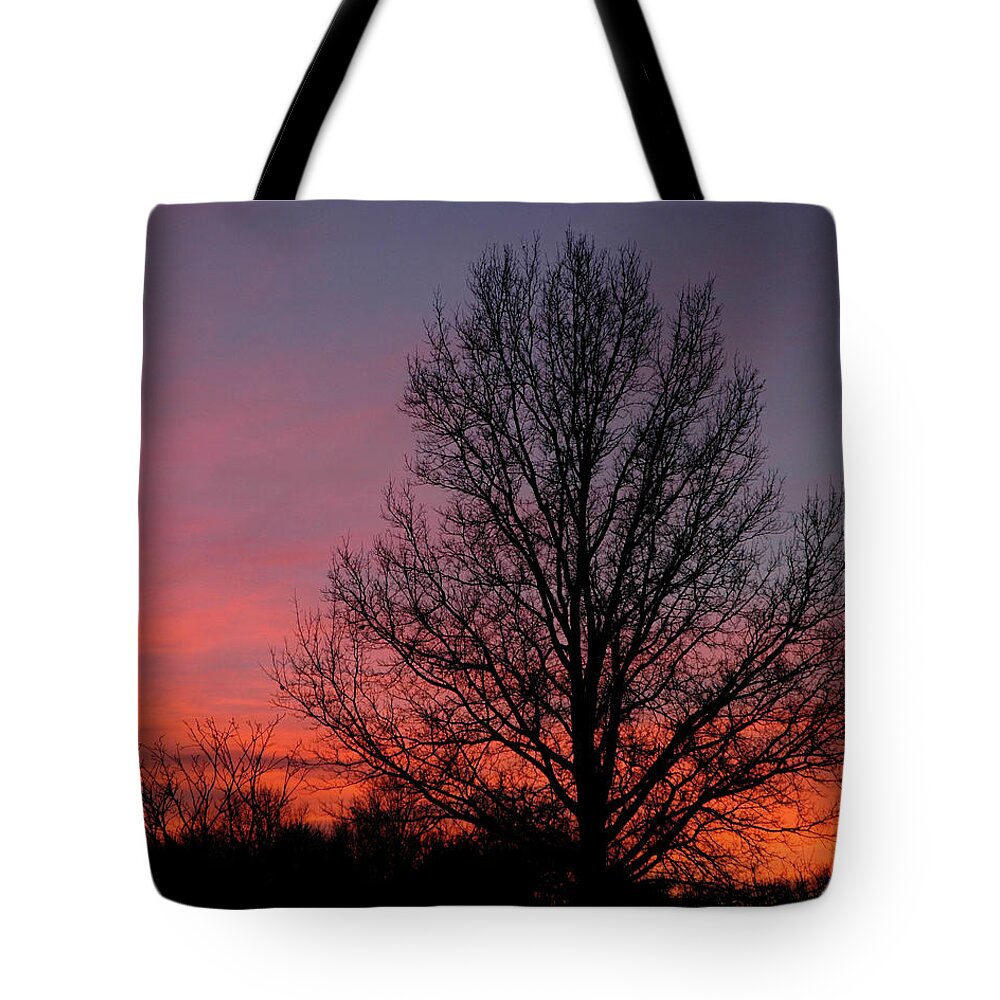 Tree Tote Bag featuring the photograph Sunset Tree by Minnie Gallman