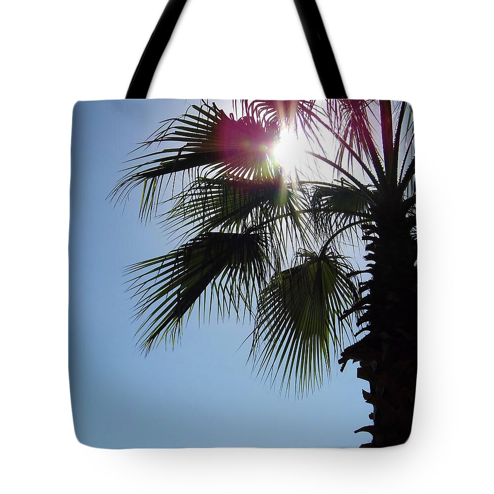 Sun Tote Bag featuring the photograph Sunshine Palm by D Hackett