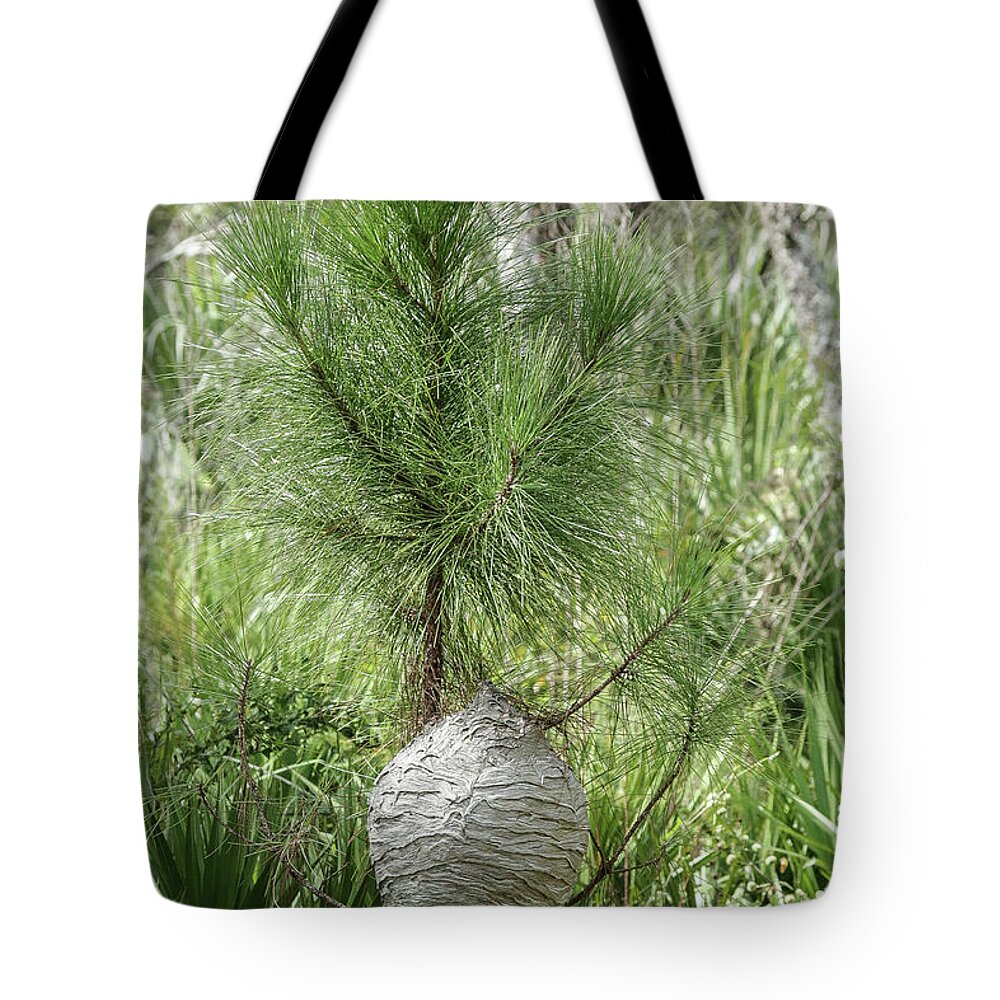 Nest Tote Bag featuring the photograph Super Nest by Rick Redman