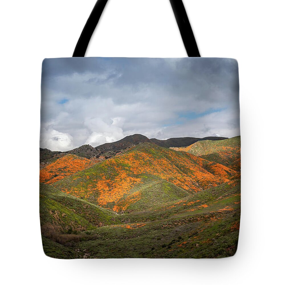Poppy Tote Bag featuring the photograph Superbloom View by Alison Frank