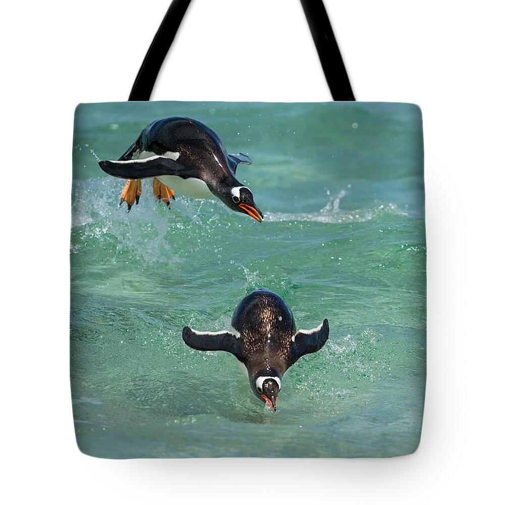 Animal Tote Bag featuring the photograph Surfing Gentoo Penguins by Tui De Roy
