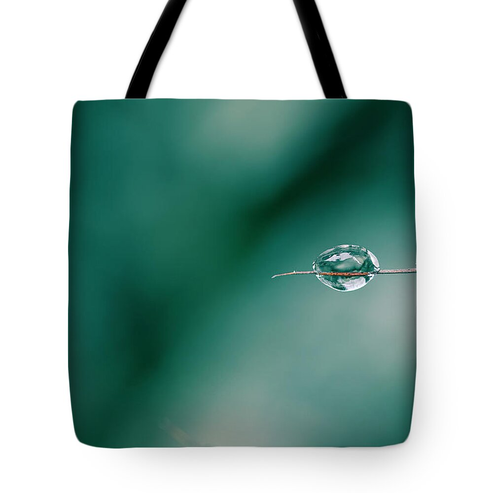 Outdoors Tote Bag featuring the photograph Survivor by Loïc Colonna