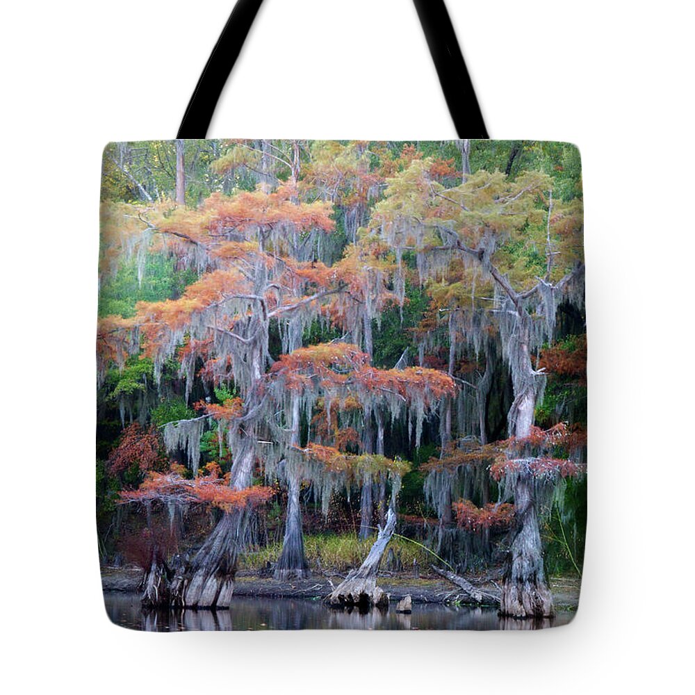 Autumn Tote Bag featuring the photograph Swamp Dance by Lana Trussell
