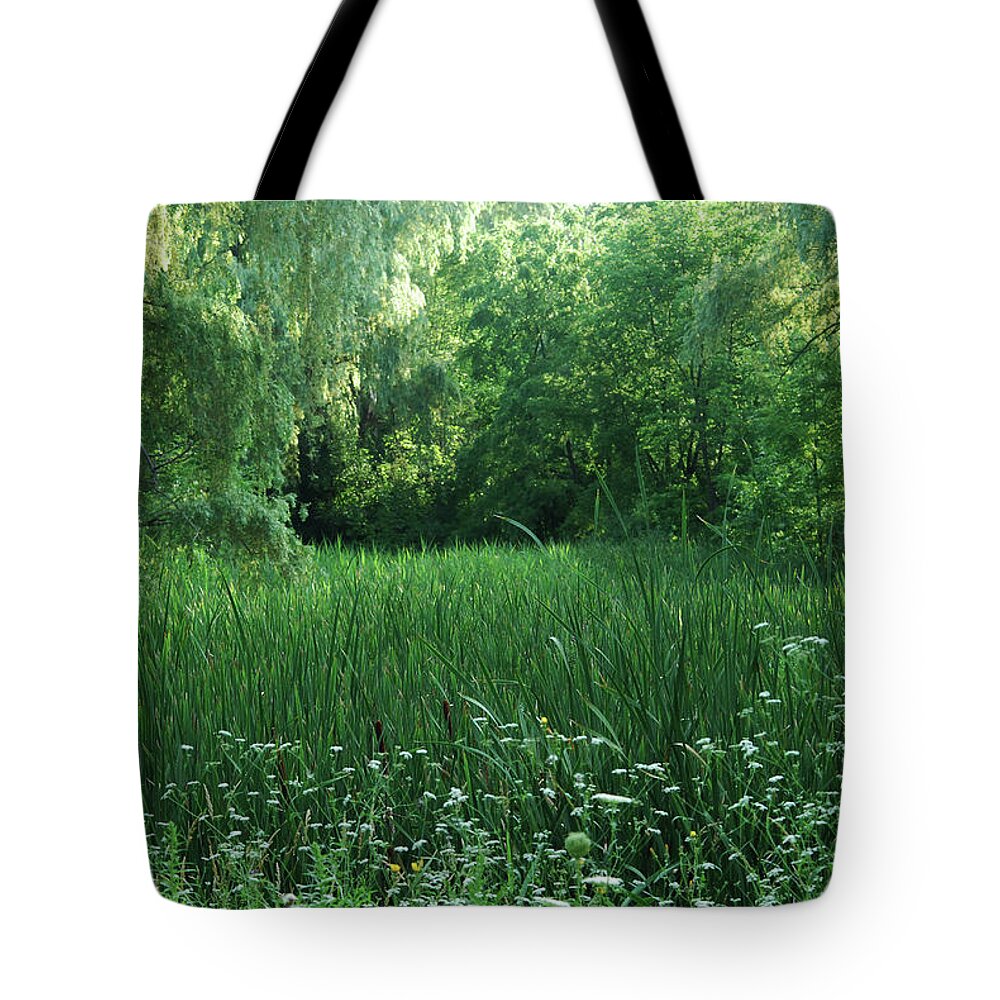 Swamp Grass Tote Bag featuring the photograph Swamp Grass 2 by Ee Photography