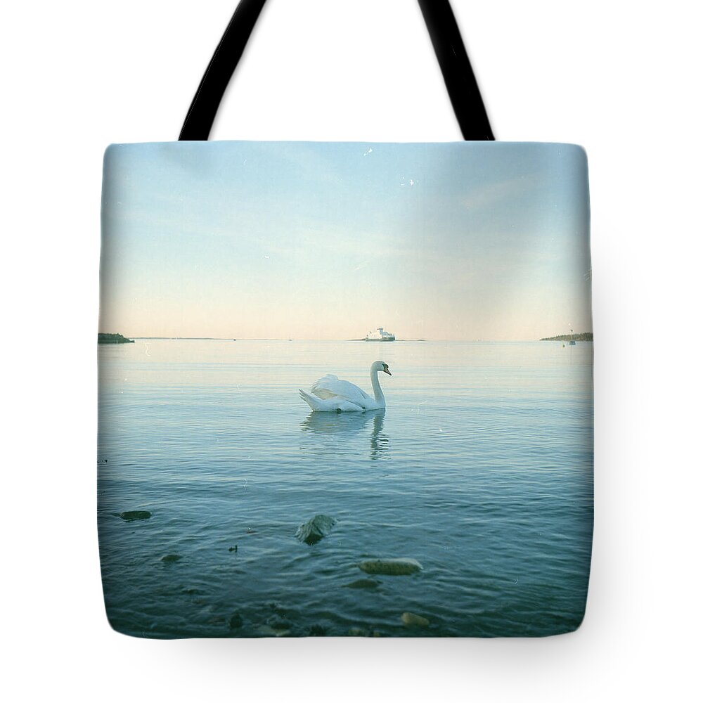 Animal Themes Tote Bag featuring the photograph Swan And Ferry by Eivind Oskarson