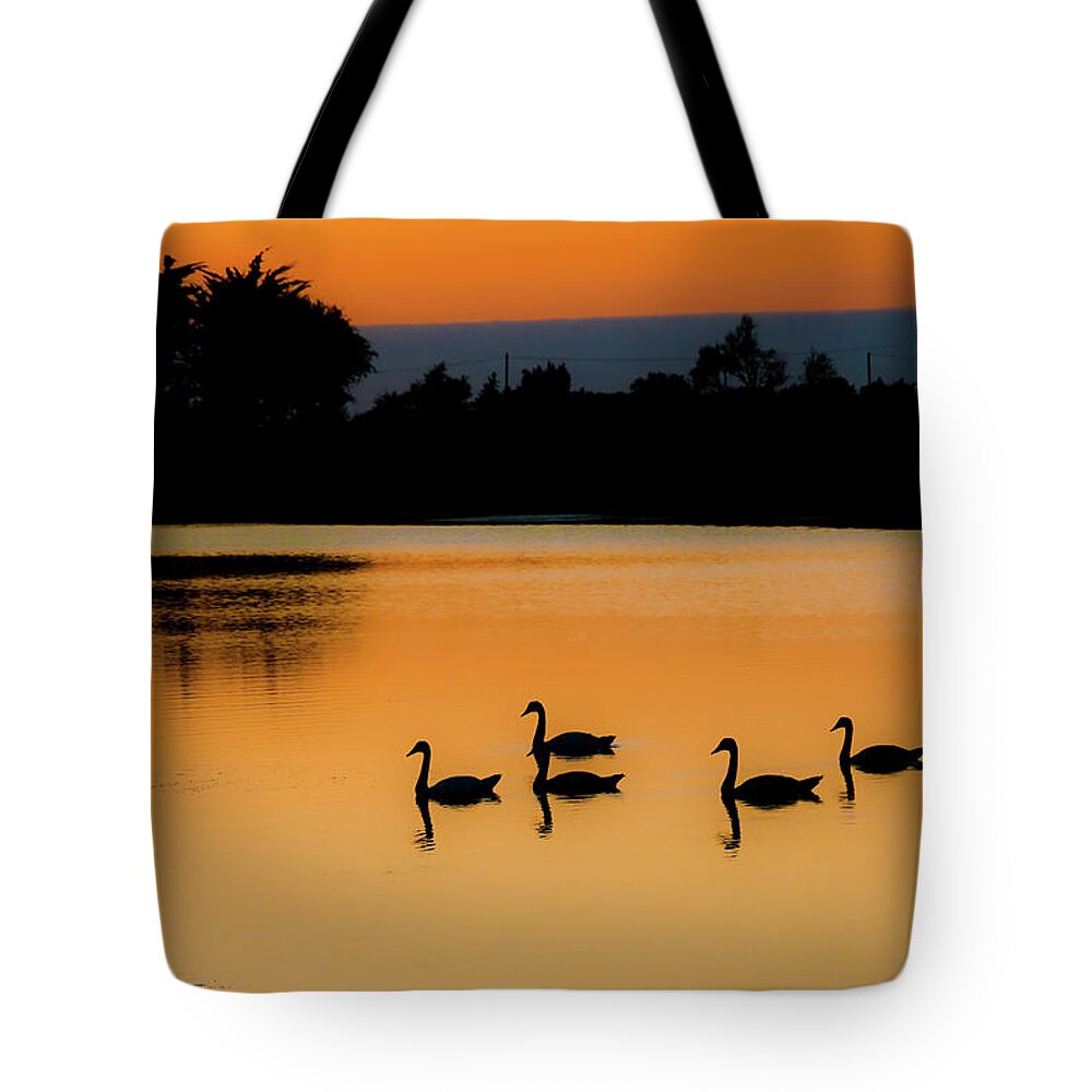 Animal Themes Tote Bag featuring the photograph Swan Lake by Images Created With Care And Enthusiam....
