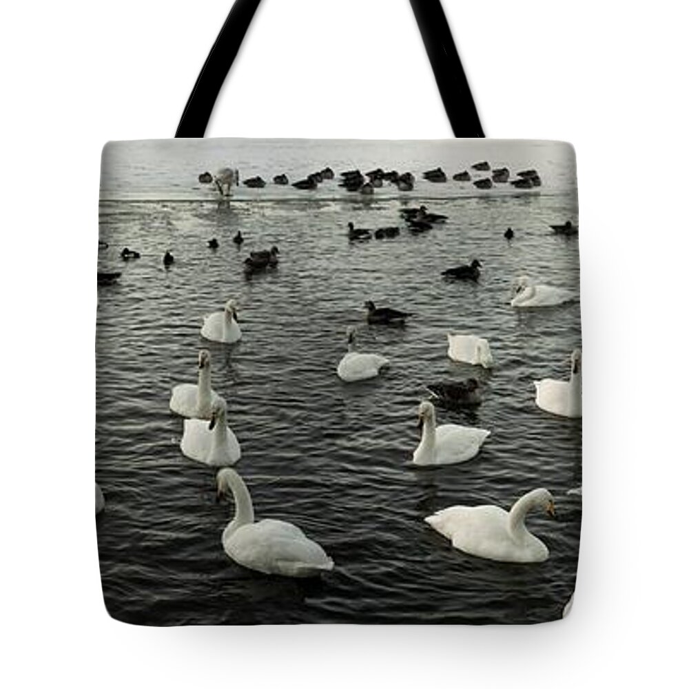 Northern Tote Bag featuring the photograph Swan Lake by Robert Grac