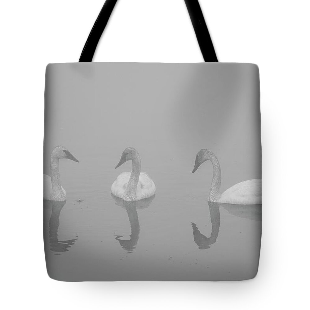 Swan Tote Bag featuring the photograph Swan Reflections by Patrick Nowotny