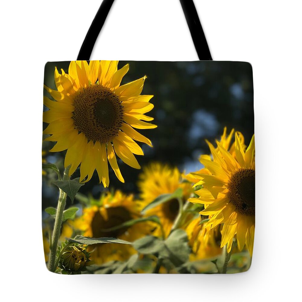 Sunflowers Tote Bag featuring the photograph Sweet Sunflowers by Lora J Wilson