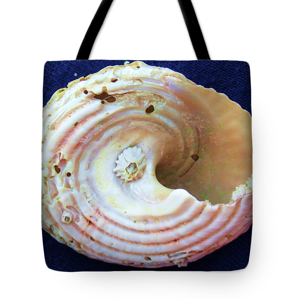 Shell Tote Bag featuring the photograph Swirl by Fred Bailey